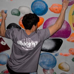 #2 premium tee regular fit stormy grey lilac/ offwhite